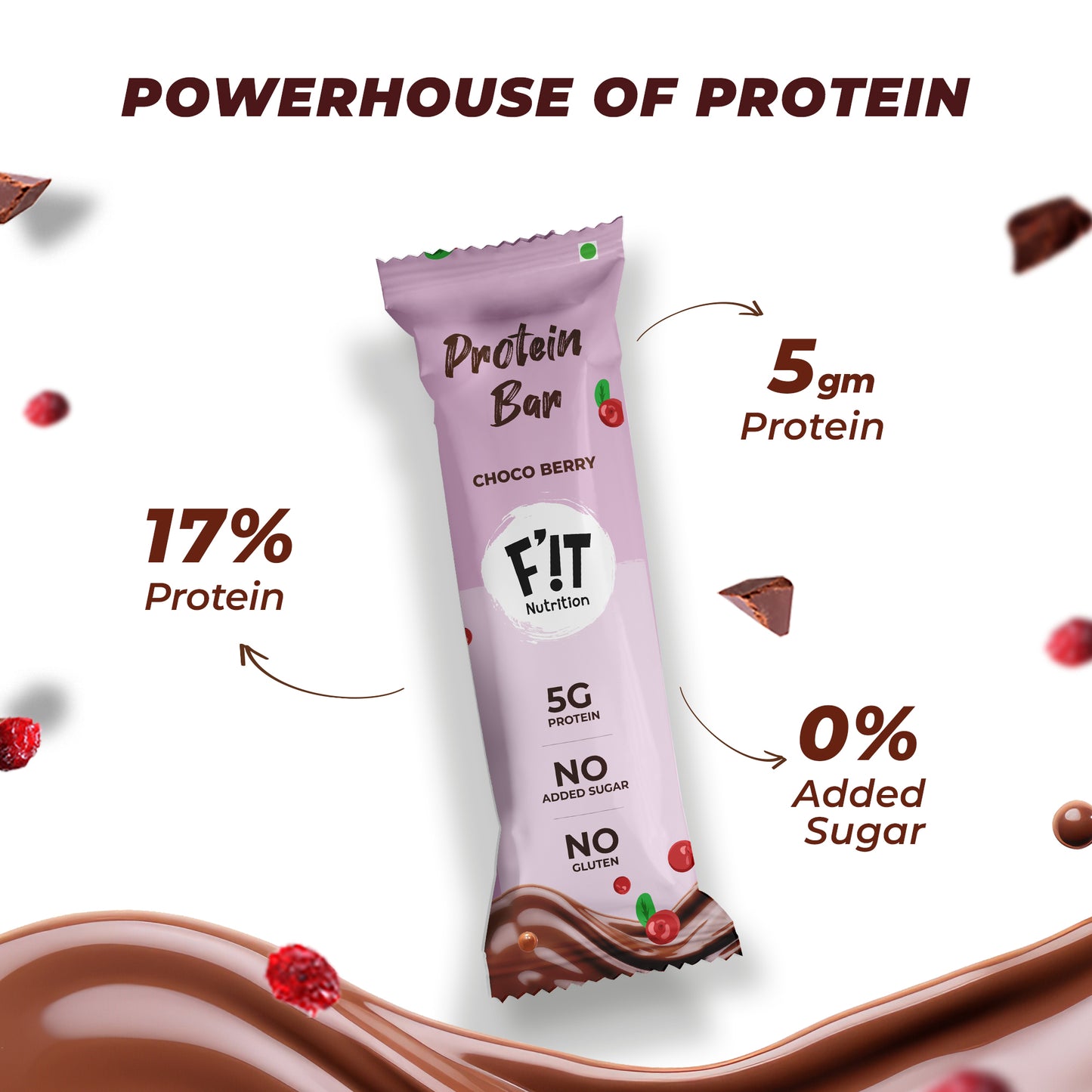 Choco Berry Mini Protein Bar - Pack of 12