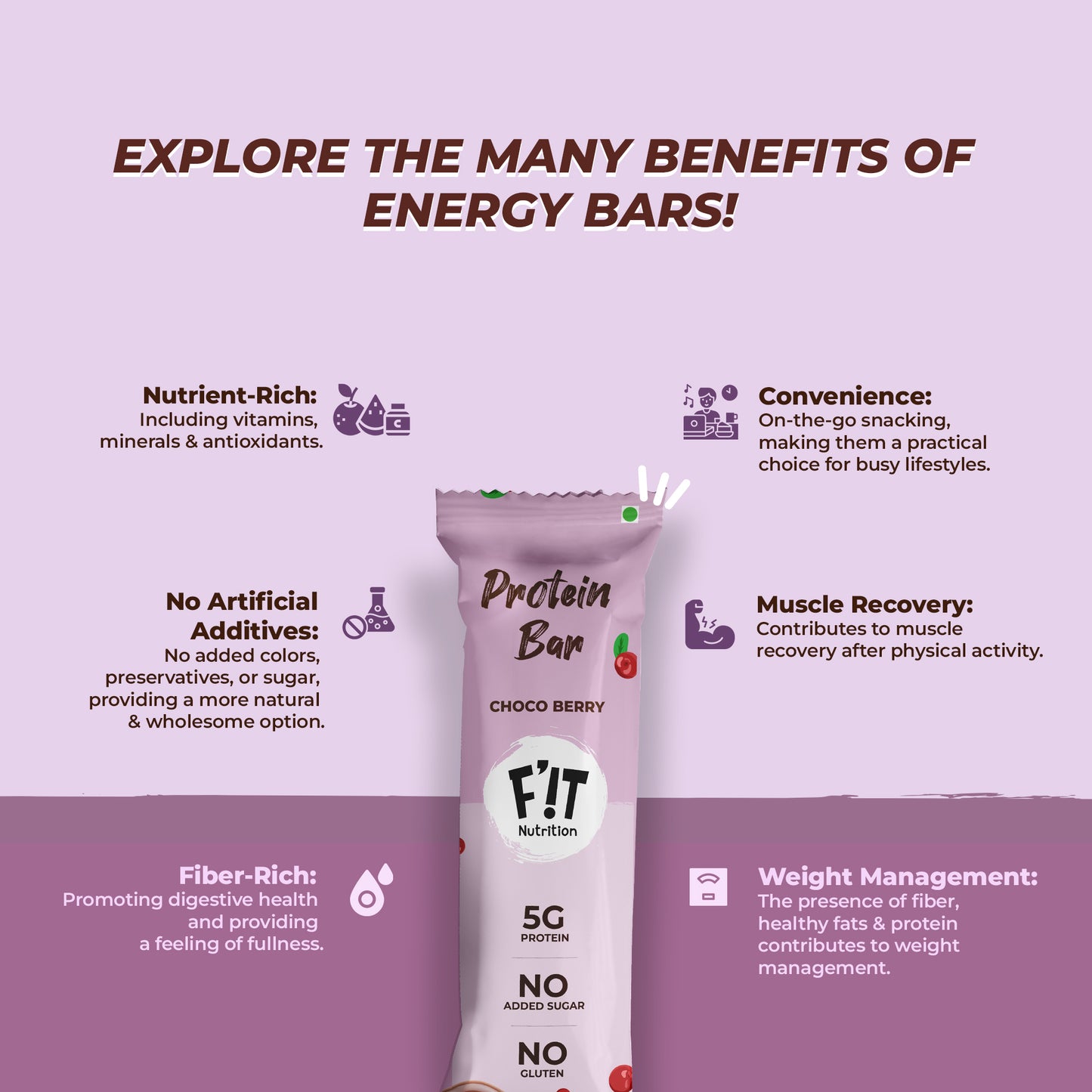 Choco Berry Mini Protein Bar - Pack of 12